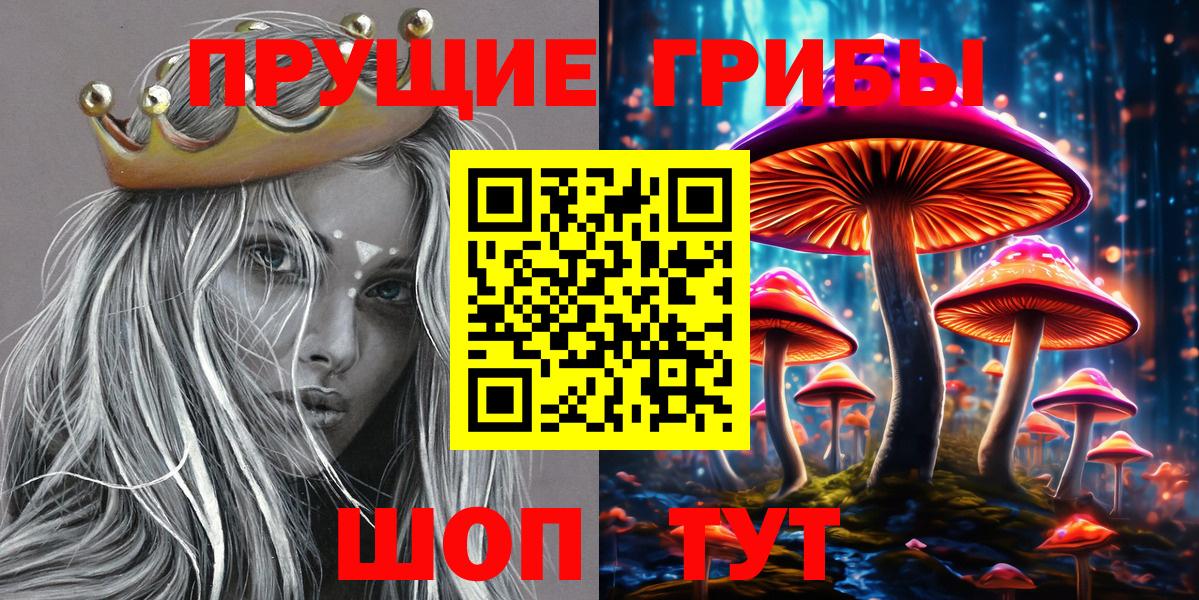 Муром  Псилоцибиновые грибы мухоморы  купить закладку  Вход с VPN  Псилоцибиновые грибы мухоморы 